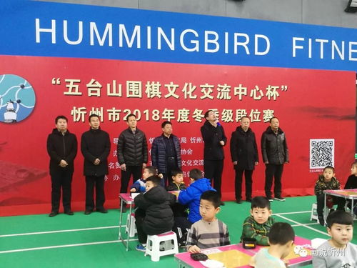 方寸棋盤間 少兒顯身手——“五臺(tái)山圍棋文化交流中心杯”2018年度忻州市圍棋段級(jí)位賽成功舉辦